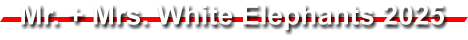 Mr. + Mrs. White Elephants 2025